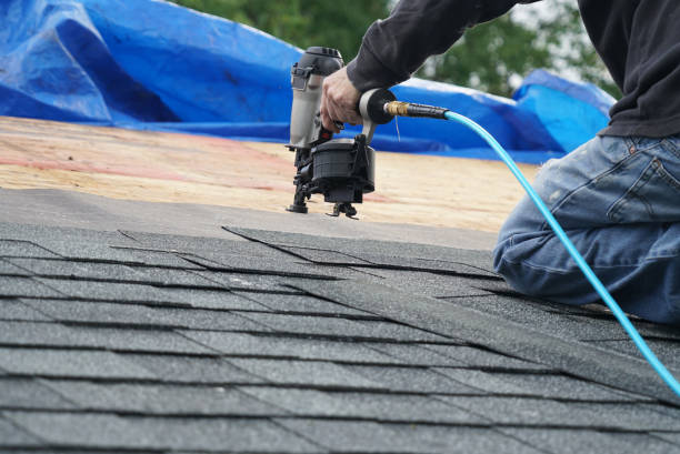 Roof Moss and Algae Removal in Cascade, ID